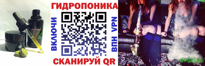 Cannafood конопля mega ТОР Кировск