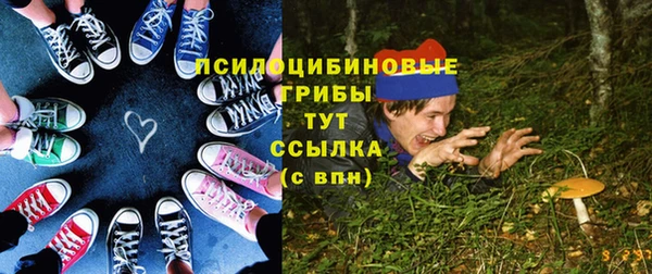 spice Баксан