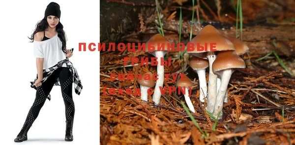 spice Баксан