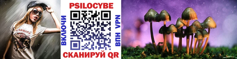 кракен как войти  Кировск  Галлюциногенные грибы Cubensis 